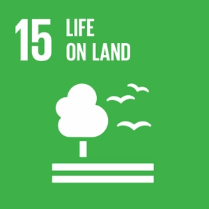 Sustainable Development Goal - Life on land