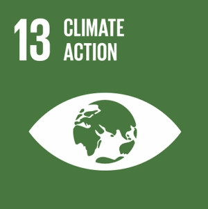 Sustainable Development Goal - Climate action