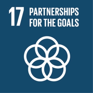 17 Partnerships for the goals