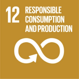 12 Responsable consumption and production