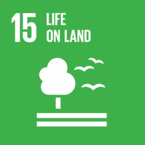 15 Life on land
