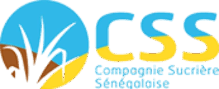 CSS Logo